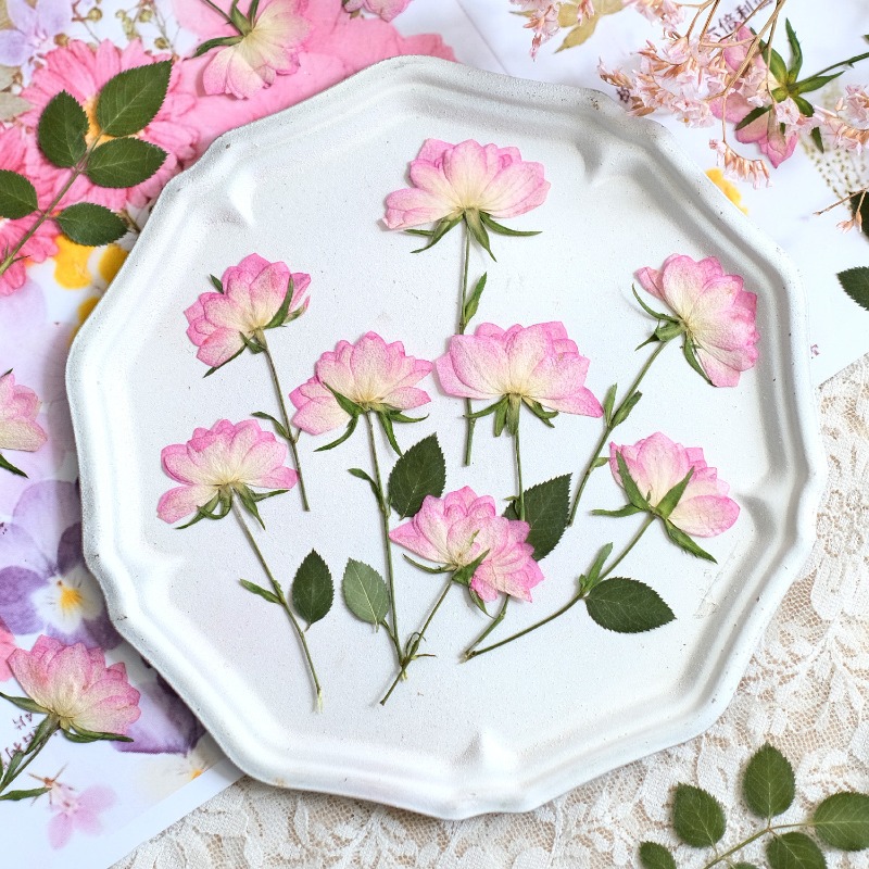 12pcs,Real Dried Pressed Flowe - đánh giá và giá Resin Craft Ideas